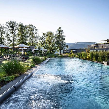 Luisenhoehe - Gesundheitsresort Schwarzwald Horben Extérieur photo